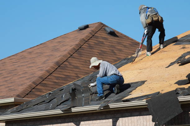 Best Storm Damage Roof Repair  in Mshall, AR