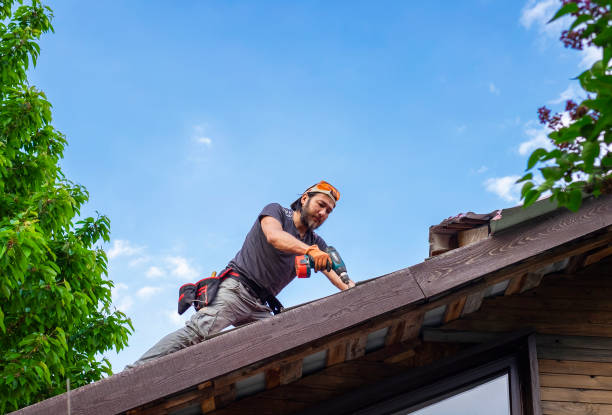 Best Metal Roofing Installation  in Mshall, AR