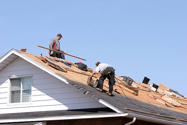 Best Roof Coating and Sealing  in Mshall, AR